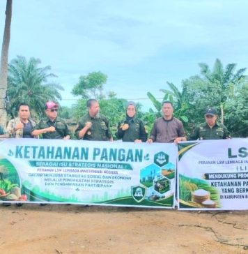 LIN Bengkulu Ajak Masyarakat Perkuat Ketahanan Pangan melalui Penanaman Jagung