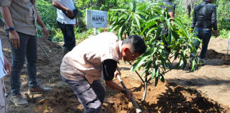 Restorasi Lingkungan, MAPEL Bengkulu Bersama Warga Gelar Penanaman Pohon di DAS Lemau