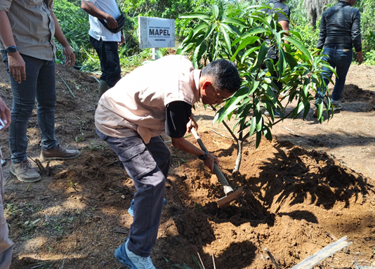 Restorasi Lingkungan, MAPEL Bengkulu Bersama Warga Gelar Penanaman Pohon di DAS Lemau